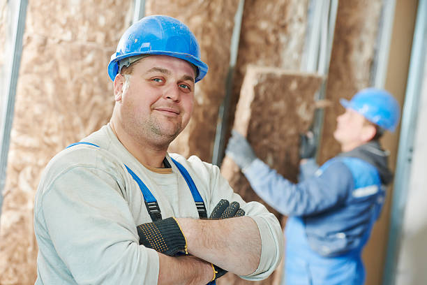 Best Insulation for Existing Homes  in Labasas, CA