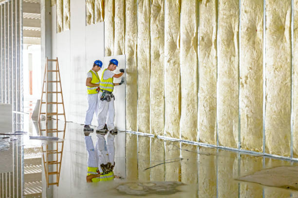 Best Basement Insulation  in Labasas, CA